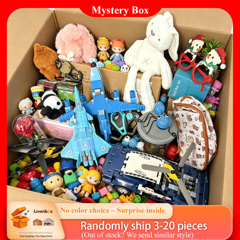 Kids Education Gift - Building Block Mystery Box, Random Mini