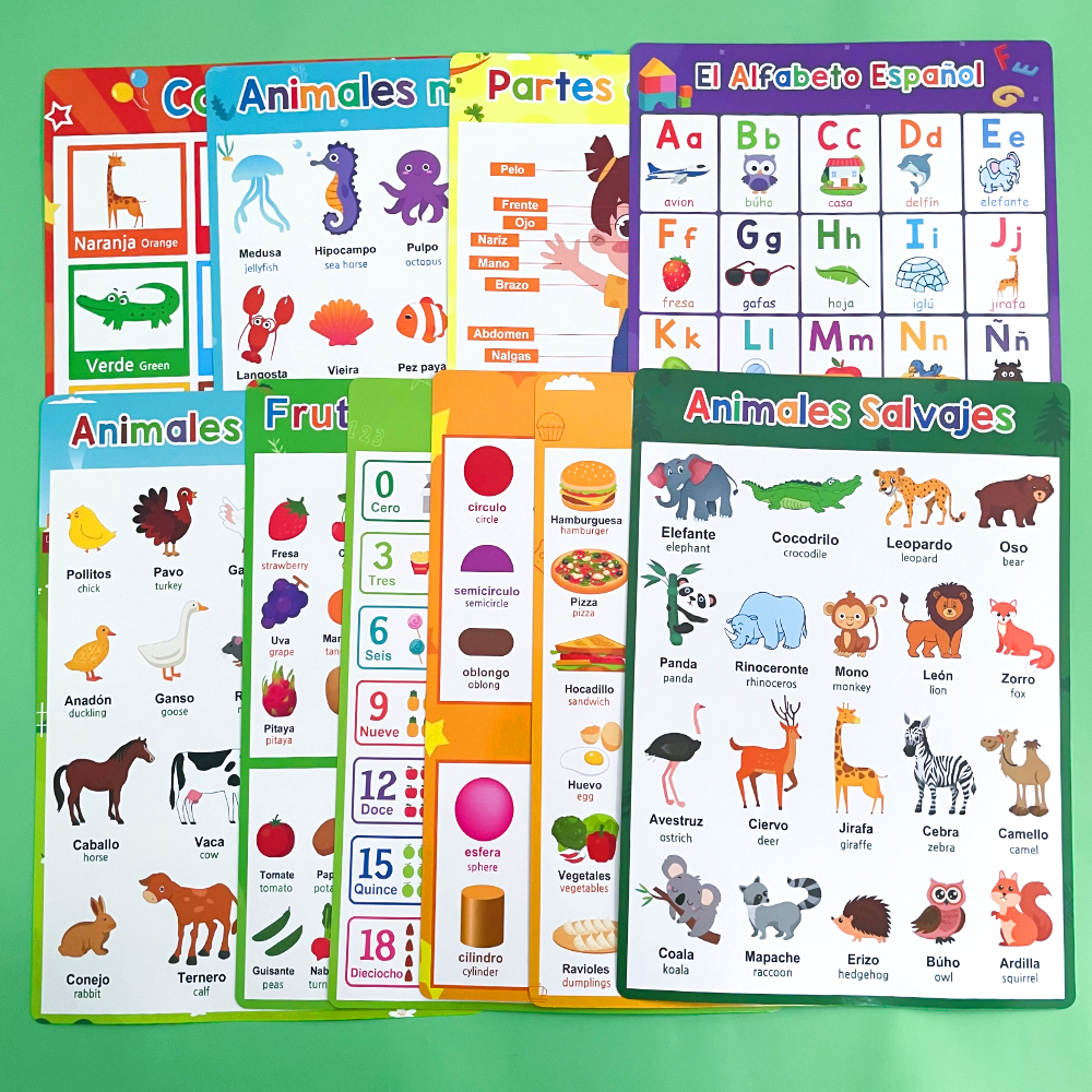 Spanish English Bilingual Word - огляд і ціна Phonics Card Game