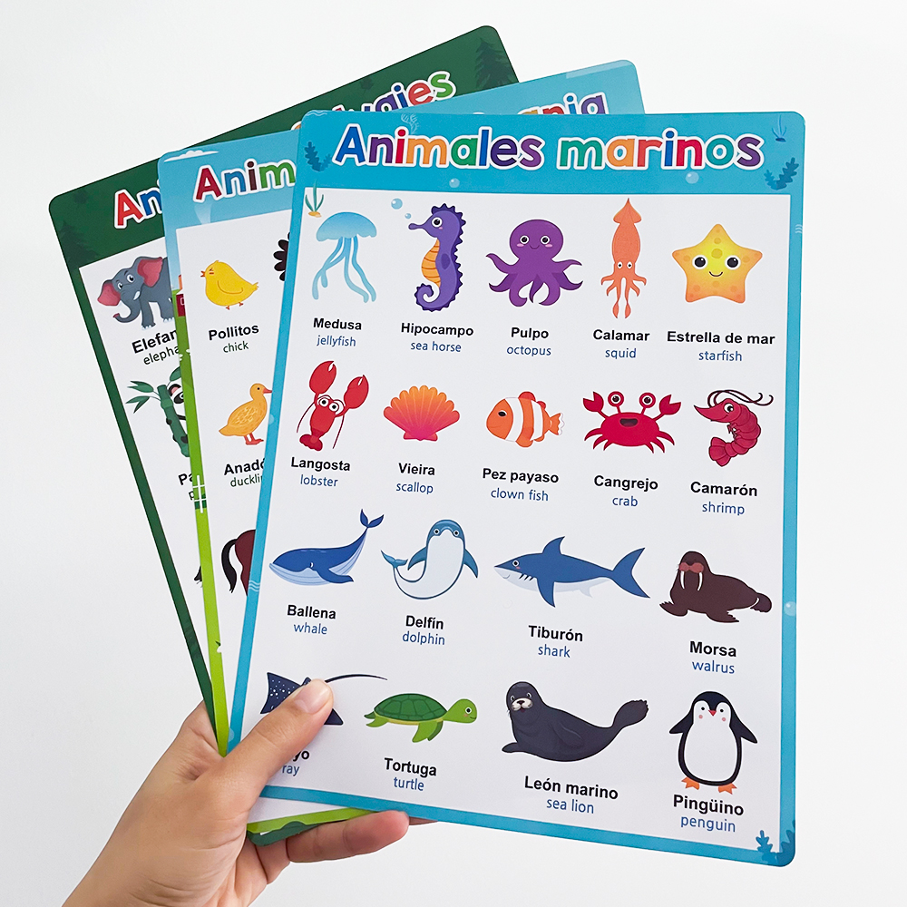 Spanish English Bilingual Word - огляд і ціна Phonics Card Game