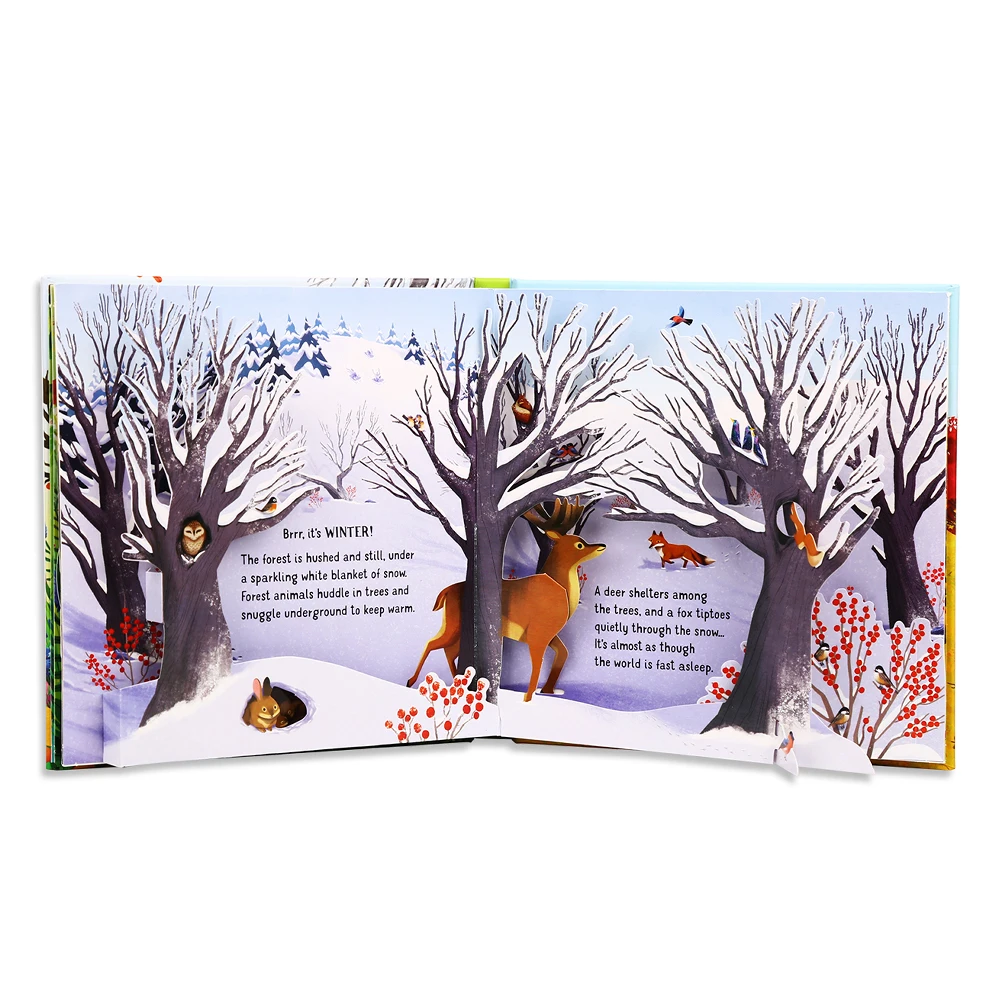 Usbrone POP UP Seasons English - огляд і ціна Kids Education Story