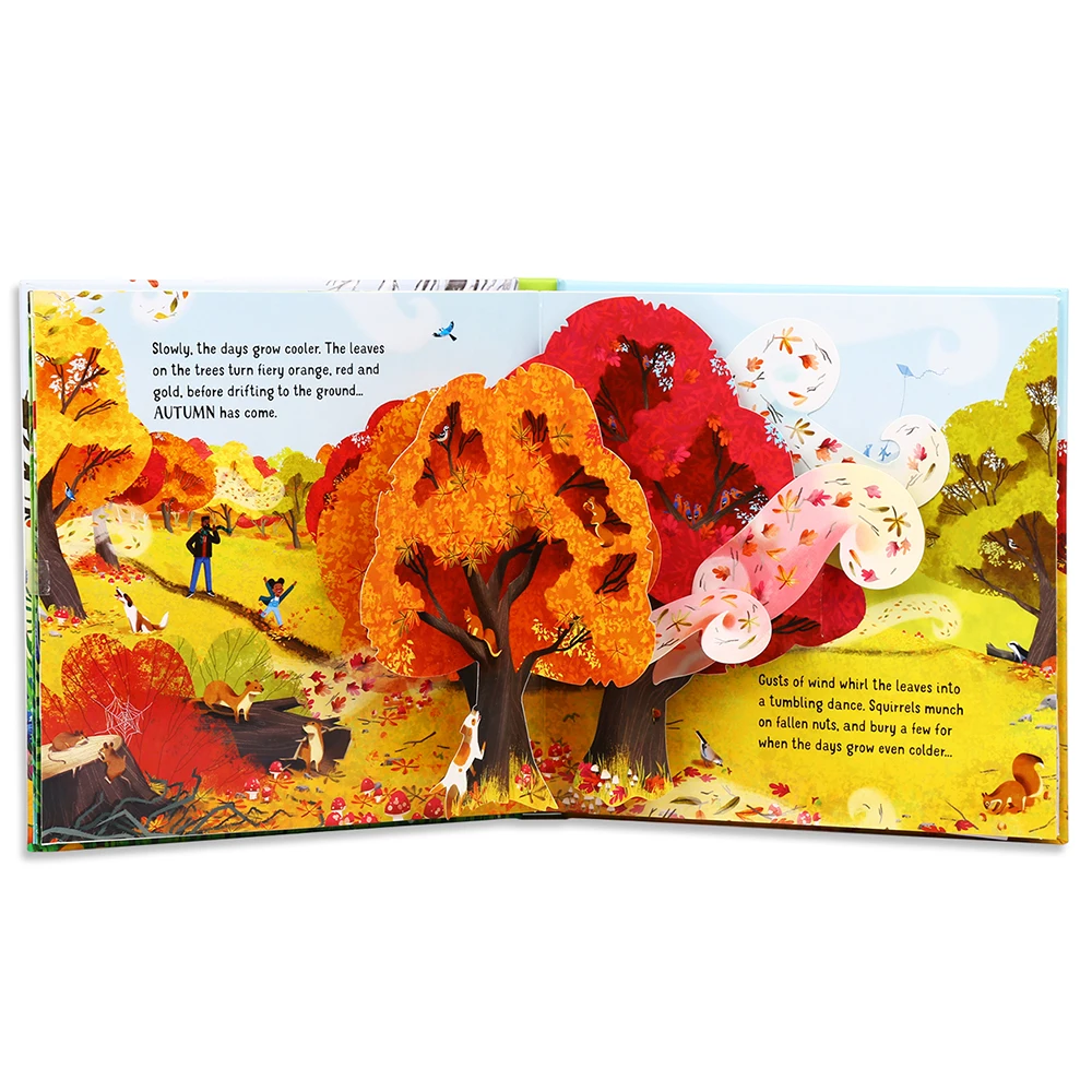 Usbrone POP UP Seasons English - огляд і ціна Kids Education Story